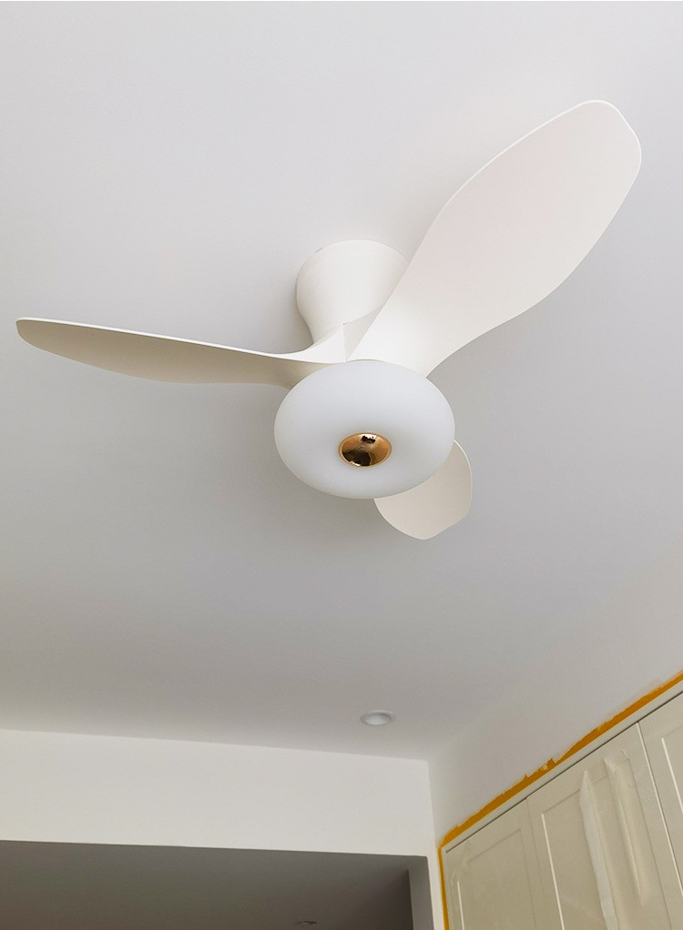 Ceiling fan light smart ceiling fan light 55 02