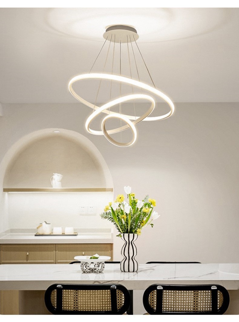Restaurant home circular minimalist LED lamp 9 01